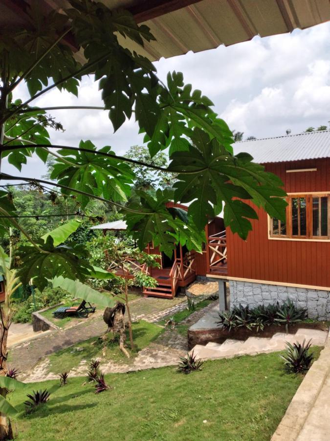 Guest House Quinta Natural Bangalots Graca Экстерьер фото