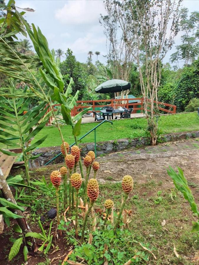 Guest House Quinta Natural Bangalots Graca Экстерьер фото