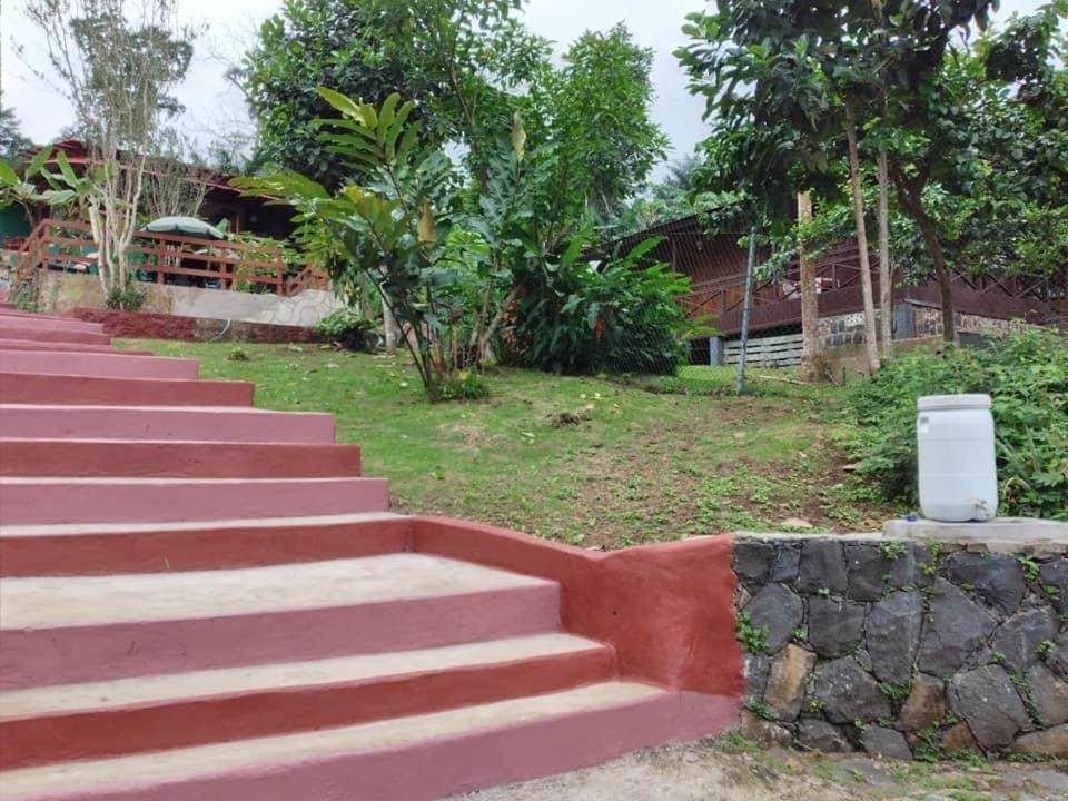 Guest House Quinta Natural Bangalots Graca Экстерьер фото