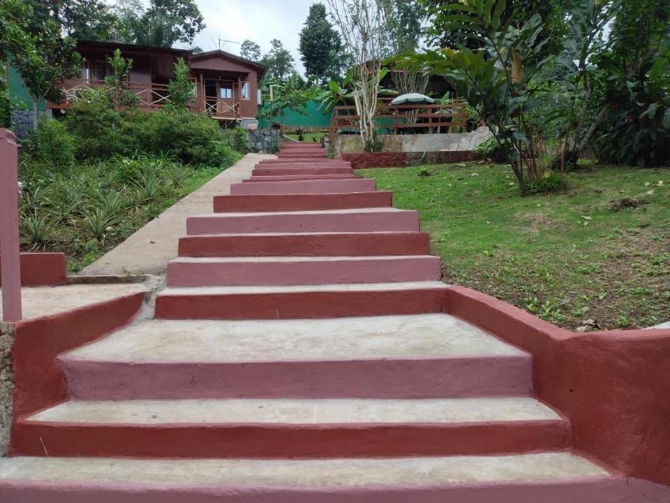 Guest House Quinta Natural Bangalots Graca Экстерьер фото
