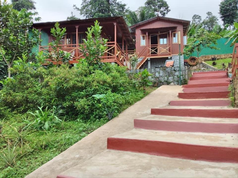 Guest House Quinta Natural Bangalots Graca Экстерьер фото