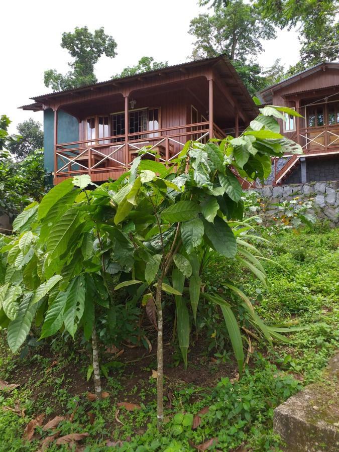 Guest House Quinta Natural Bangalots Graca Экстерьер фото