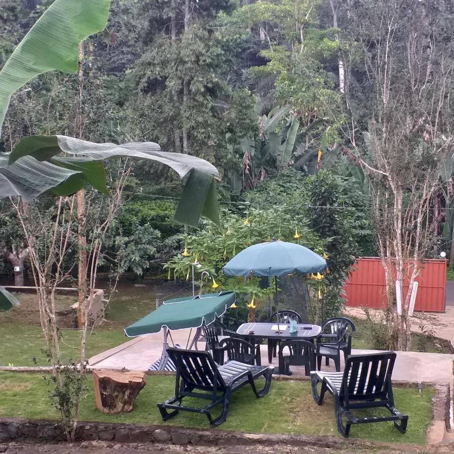 Guest House Quinta Natural Bangalots Graca Экстерьер фото