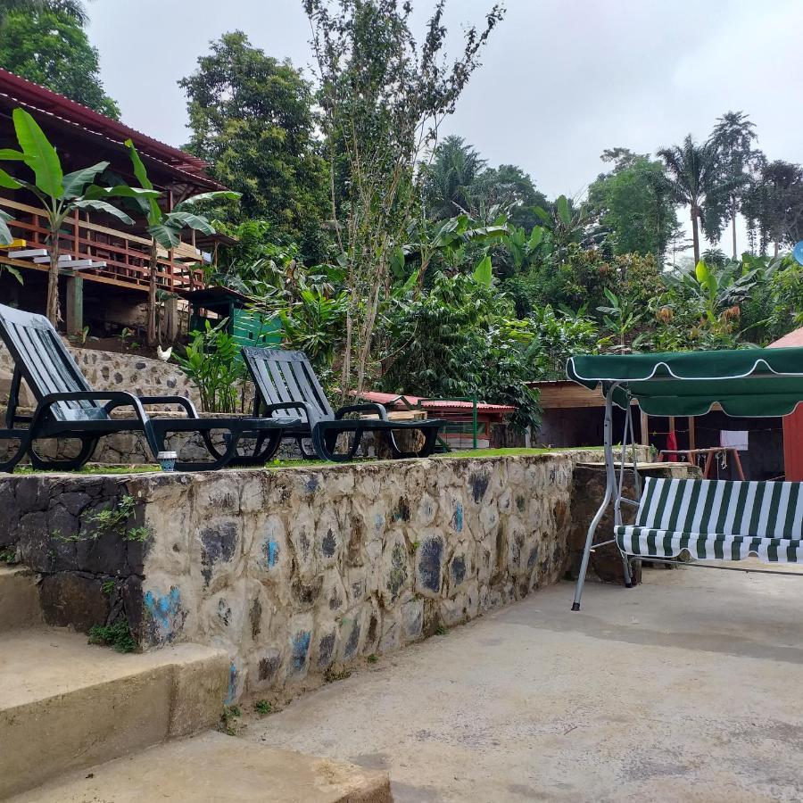 Guest House Quinta Natural Bangalots Graca Экстерьер фото
