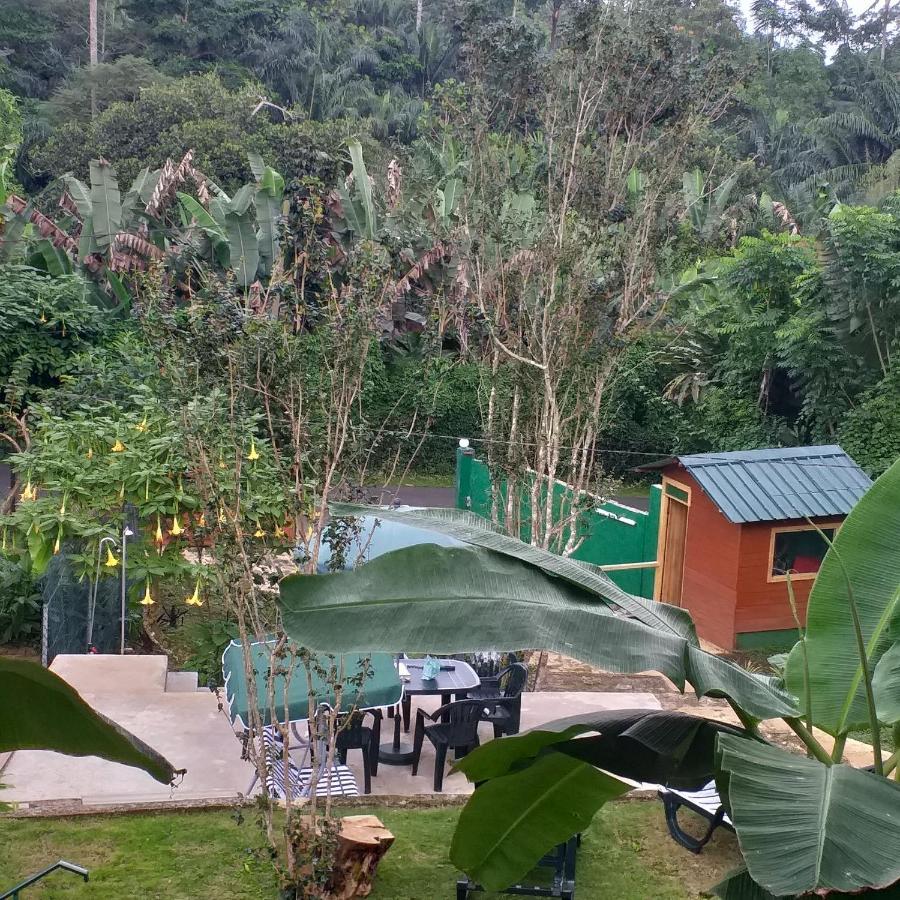 Guest House Quinta Natural Bangalots Graca Экстерьер фото