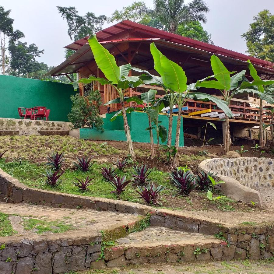 Guest House Quinta Natural Bangalots Graca Экстерьер фото